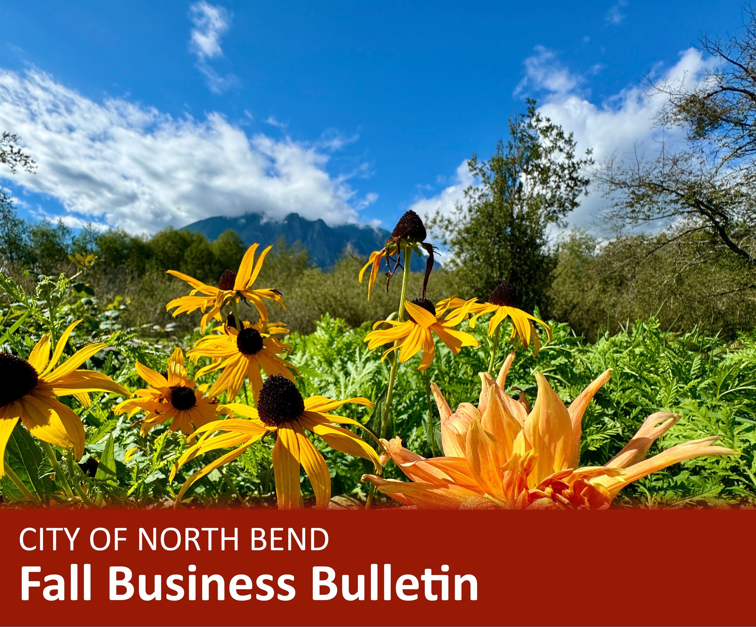 Business Bulletin, Website Infographic, fall