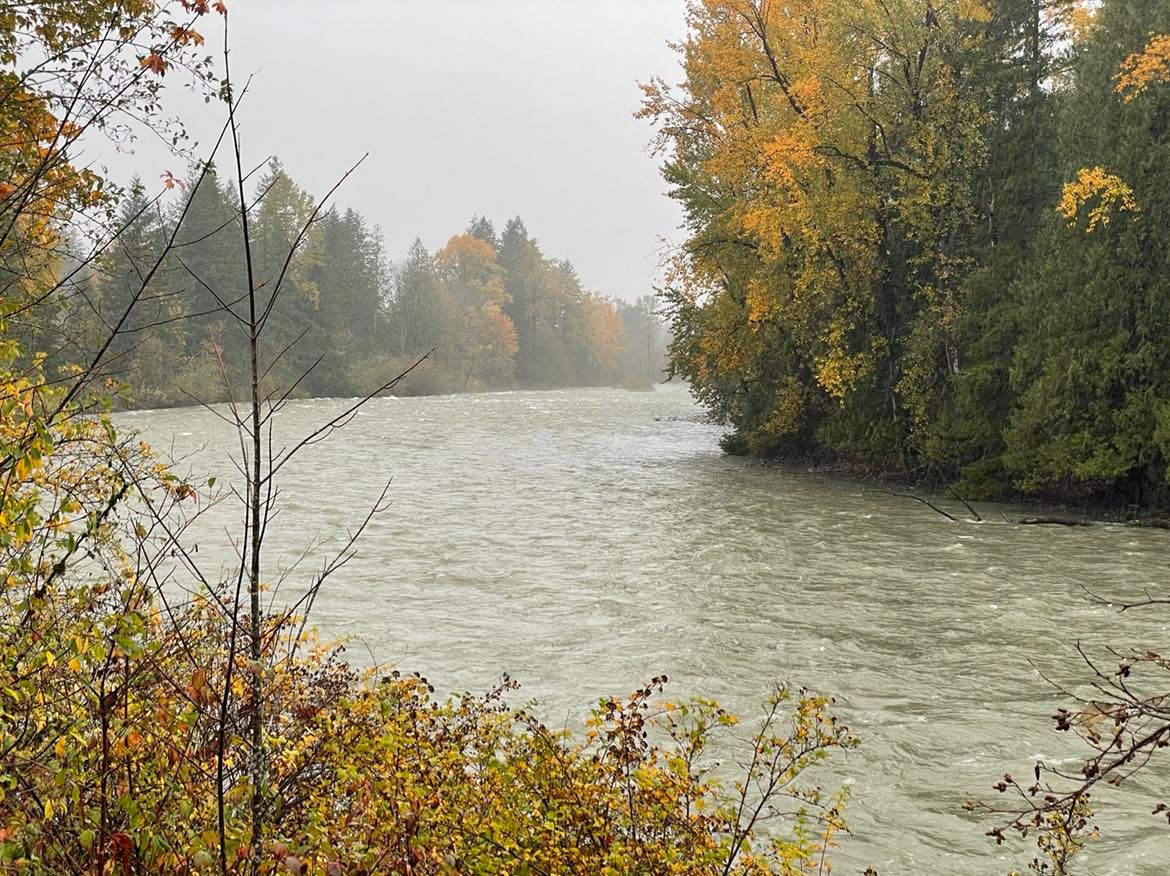 Middle Fork 10.28.21