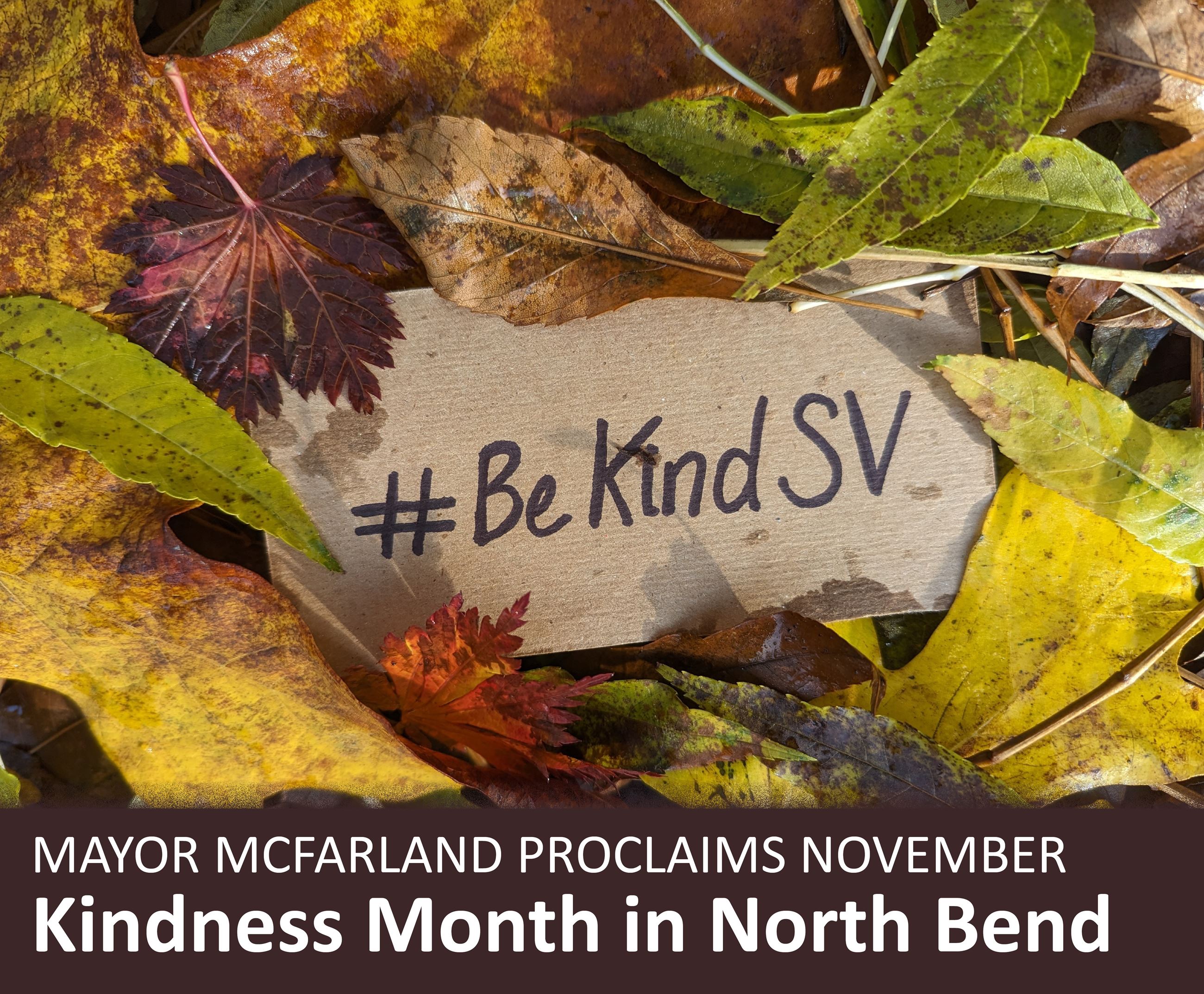 Kindness Month Website Infographic