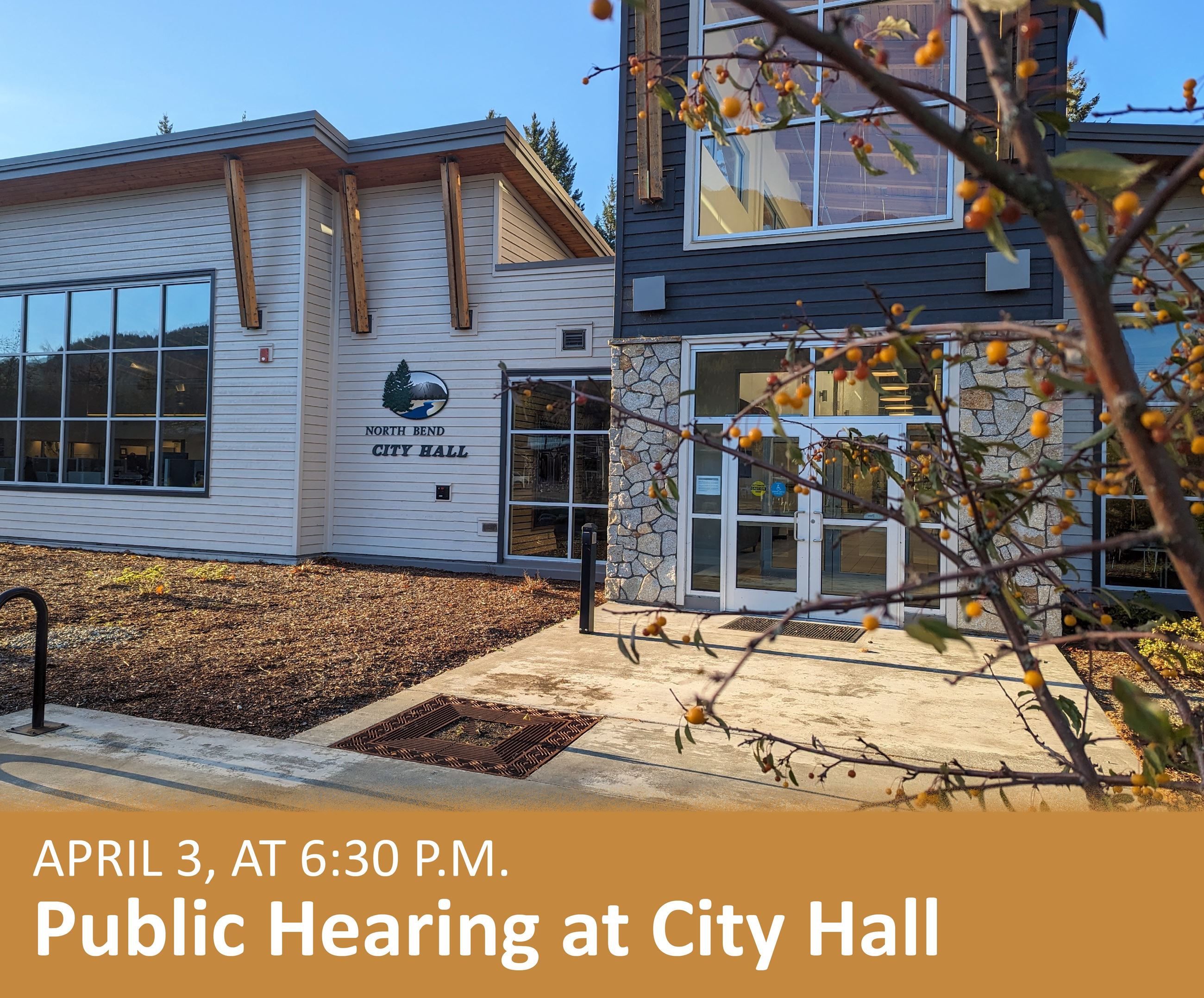 Public Hearing