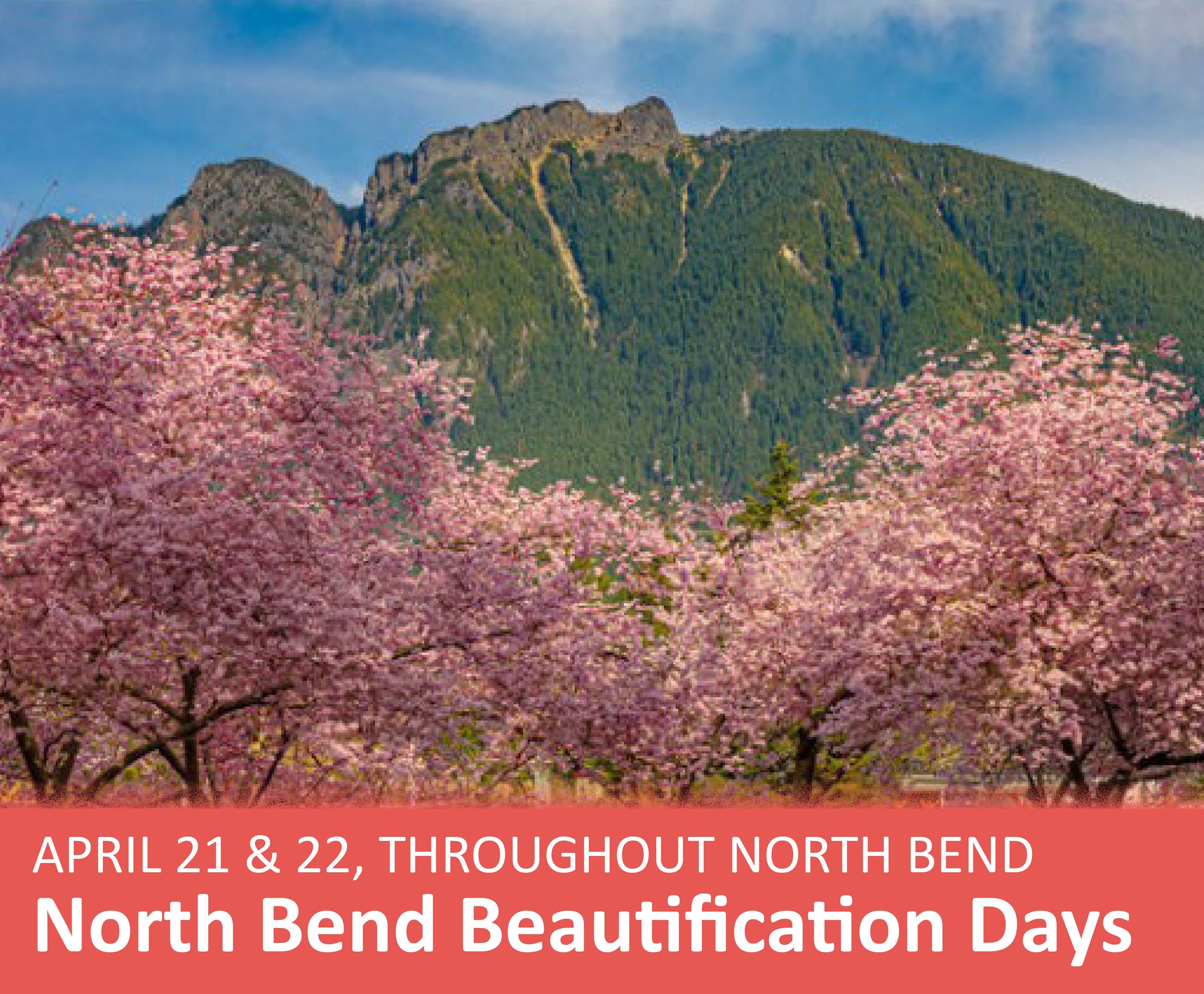 NB Beautification Days_web