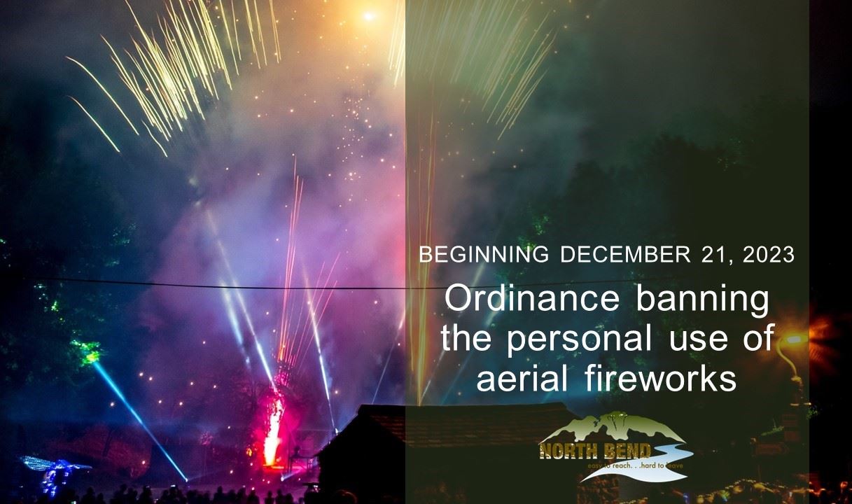 Ordinance banning personal use, aerial fireworks